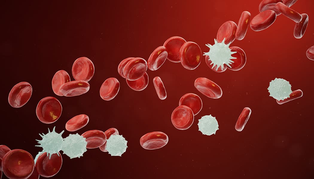 blood-cancer