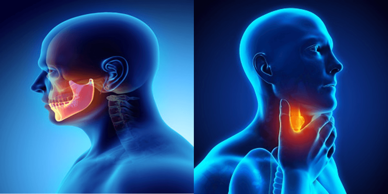 head-and-neck