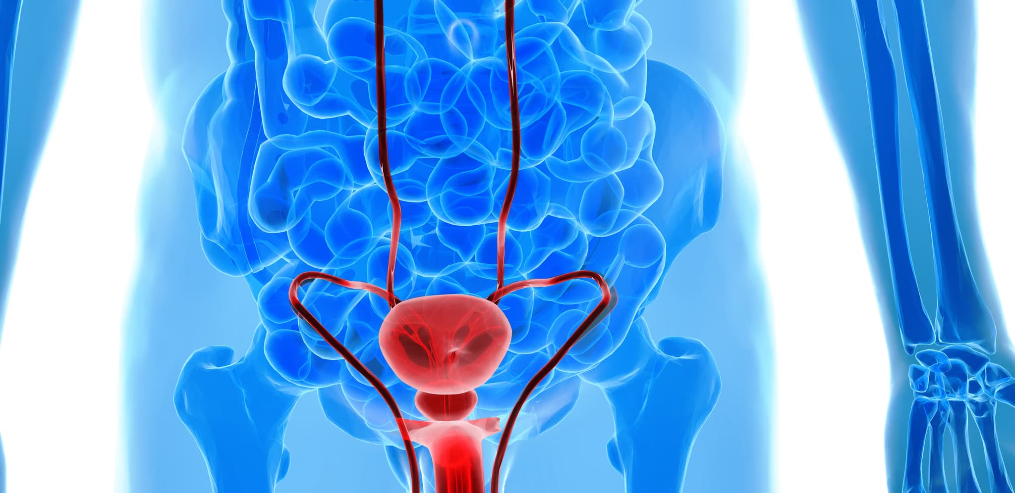 testicular-cancer